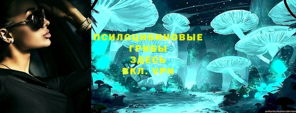 спиды Алзамай