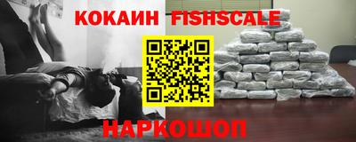 гашик Гусев