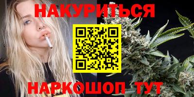 индика Гай