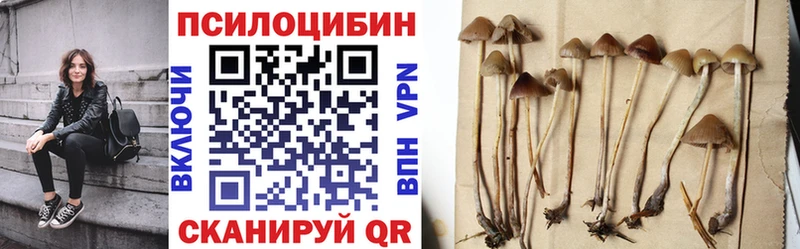Псилоцибиновые грибы Psilocybine cubensis  купить закладку  Знаменск 