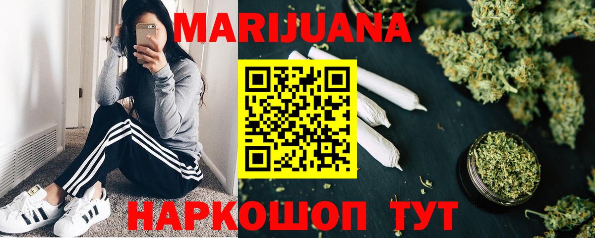 Бошки Шишки планчик Знаменск